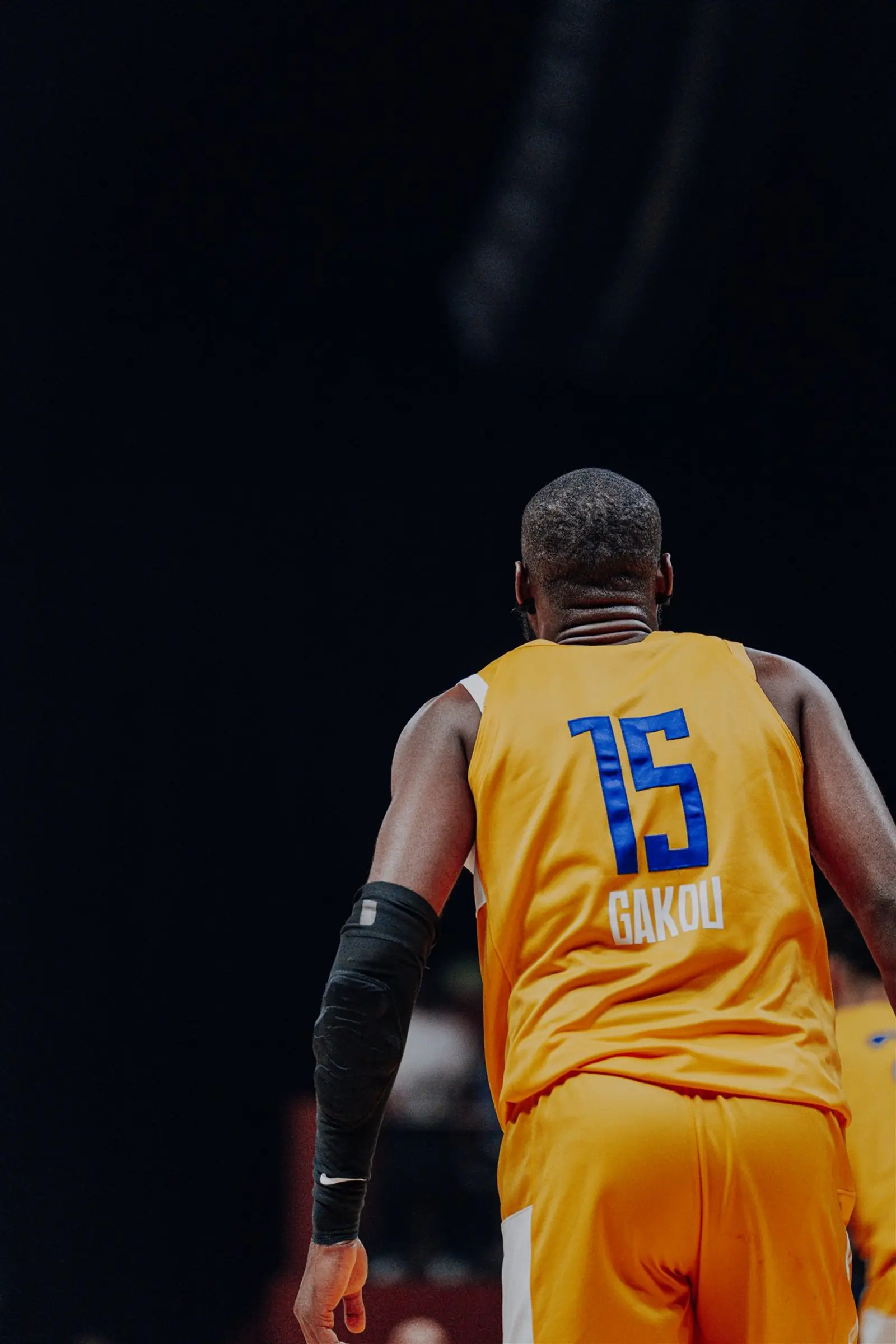 Gallery photo